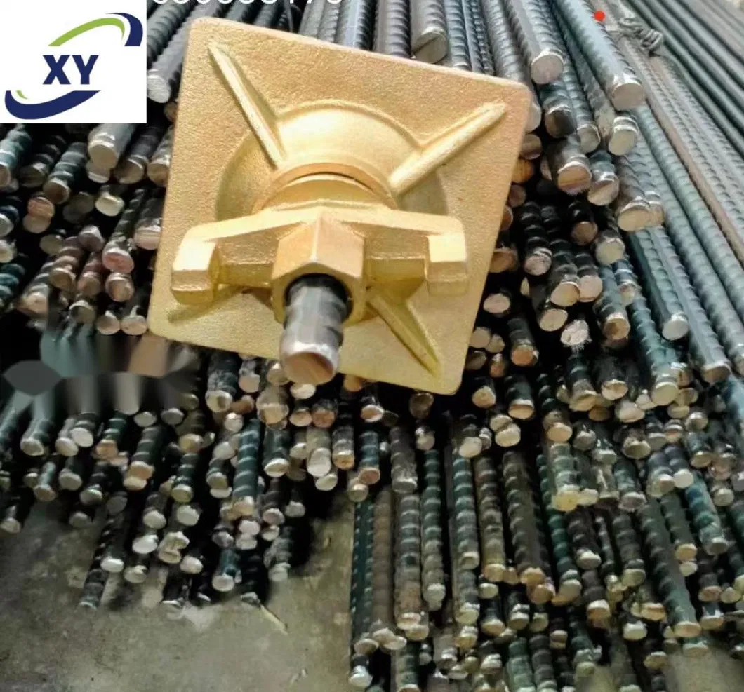 Hot Sale D15/17mm Construction Formwork Tie Rod System for Wall Concrete Formwork